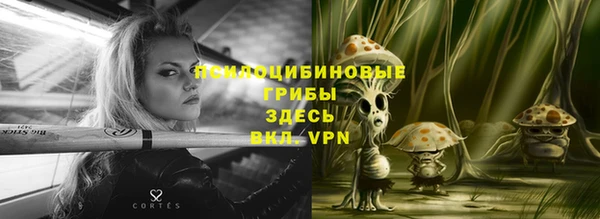 молекула духа Алексеевка