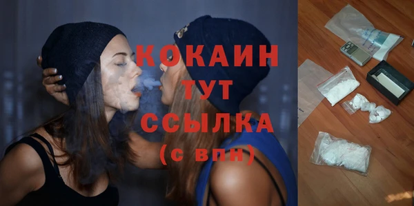 молекула духа Алексеевка